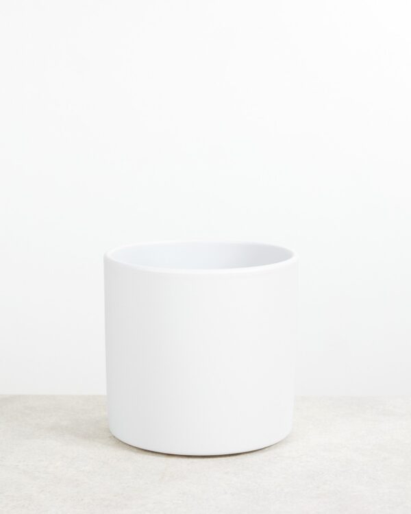 Penny Pot Licht Grijs bezorgen via PLNTS