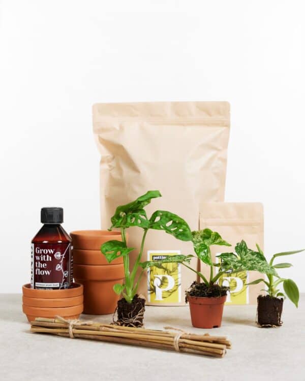 Planthobby Sarterkit 3 Planten bezorgen via PLNTS