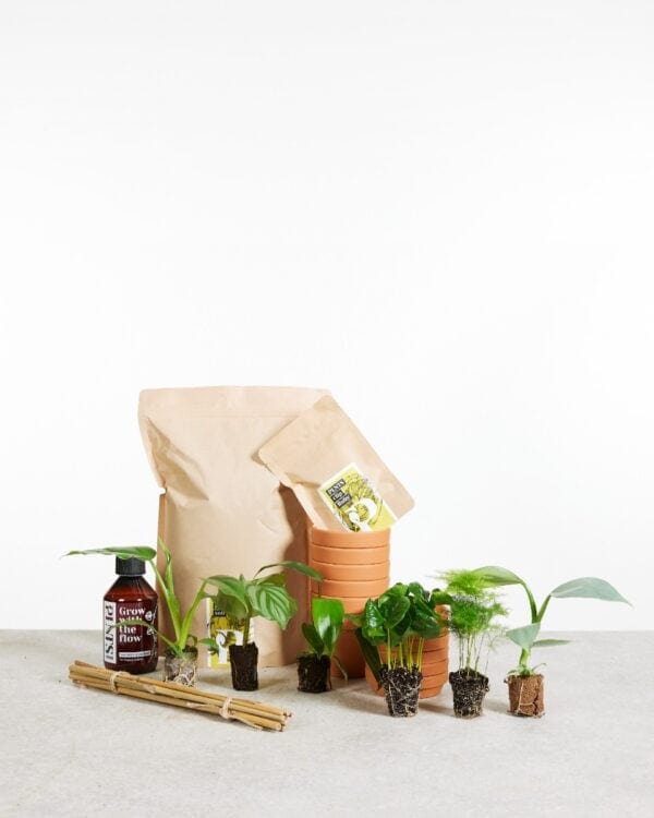 Planthobby Starterkit 6 Planten bezorgen via PLNTS