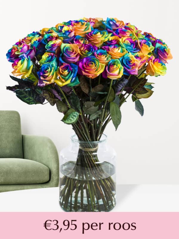 Regenboog rozen - Kies je aantal - 10 t/m 49 rozen bezorgen