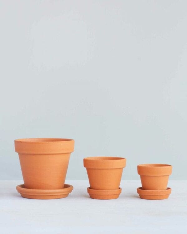 Repotting Set bezorgen via PLNTS