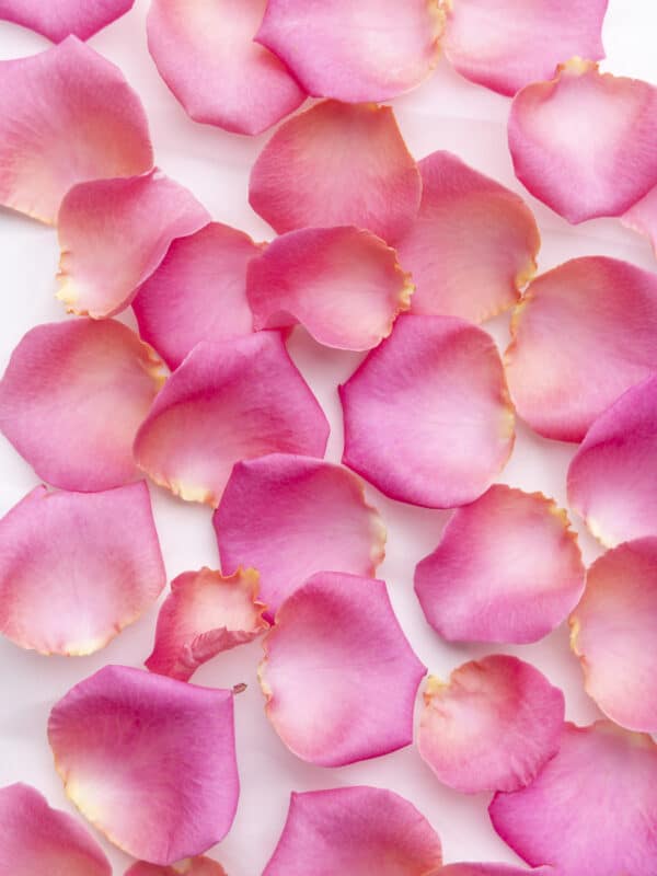 Roze rozenblaadjes bezorgen