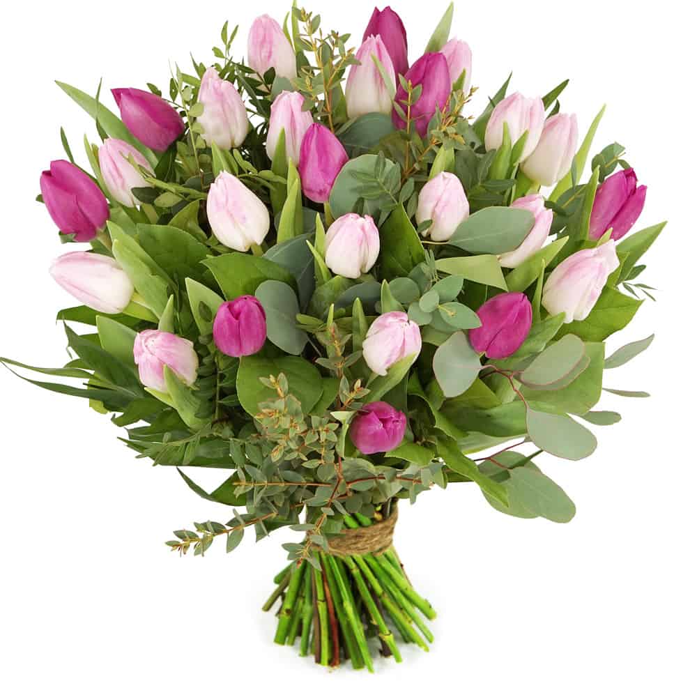 Roze tulpen inclusief bladmateriaal