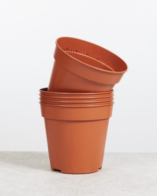 Set van 5 KweekpottenØ 15 cm bezorgen via PLNTS
