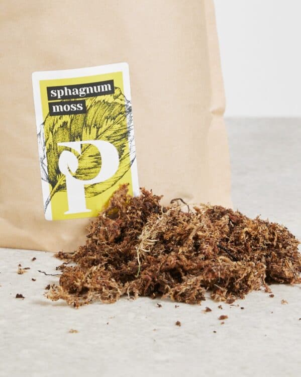 Sphagnum Mos bezorgen via PLNTS
