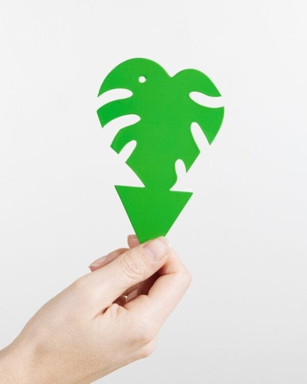 Sticky Leaf Rouwliegenvangers Groen bezorgen via PLNTS