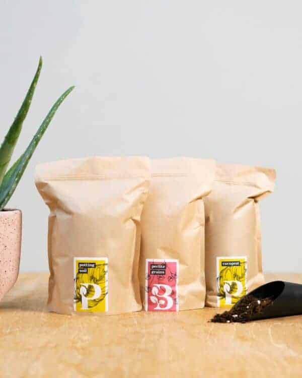 Succulenten potgrondmix kit bezorgen via PLNTS