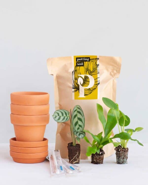 Trio Starter Kit bezorgen via PLNTS