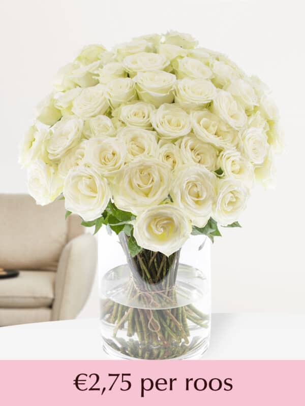 Witte rozen - Kies je aantal (Snowstorm) - 10 t/m 99 rozen bezorgen