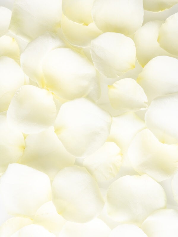 Witte rozenblaadjes bezorgen