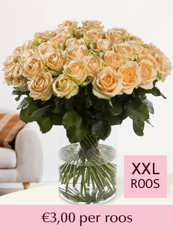 Zalmkleurige rozen - Kies je aantal - 10 t/m 99 rozen bezorgen