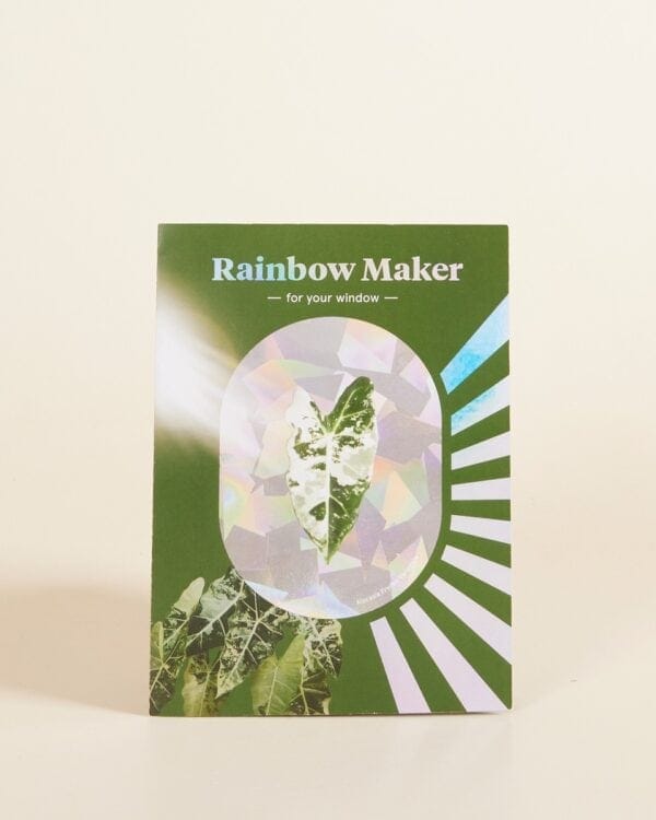 Regenboogmaker bezorgen via PLNTS