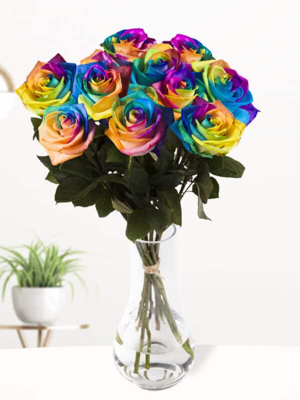 10 regenboog rozen bezorgen