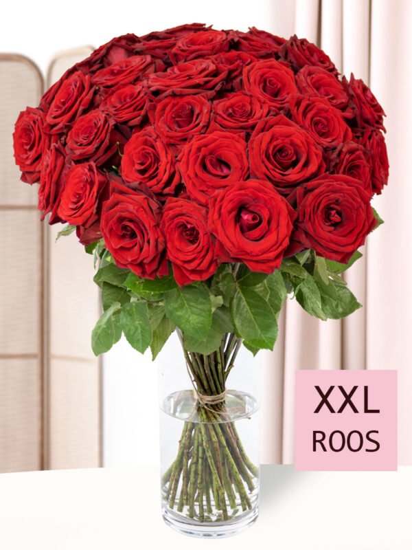 40 rode rozen - Red Bentley bezorgen