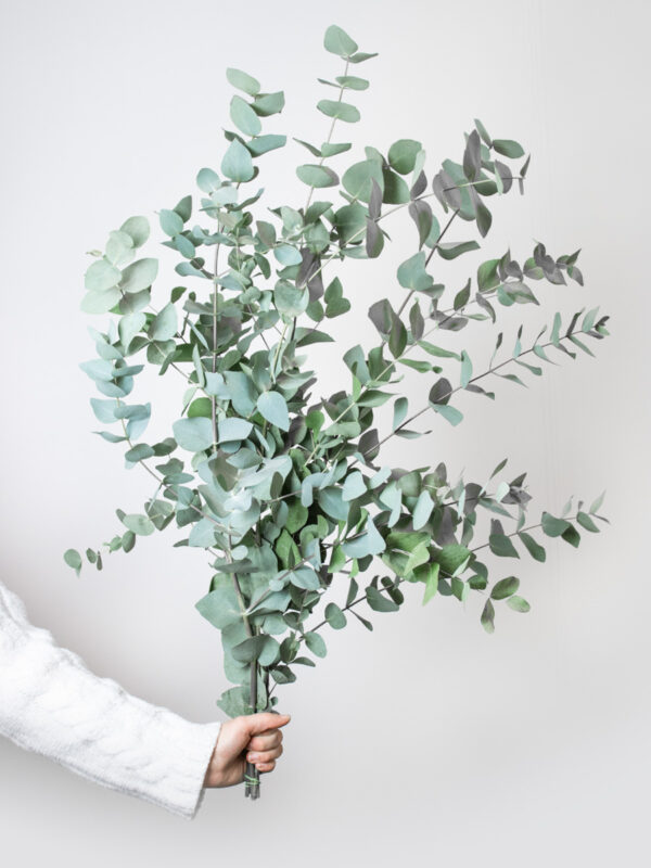 Voeg eucalyptus toe aan je boeket bezorgen