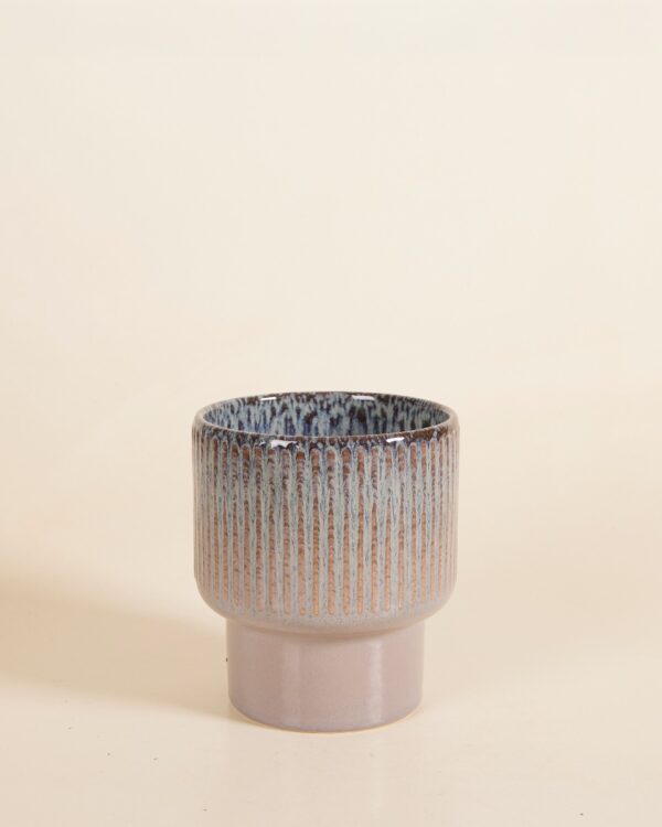 Jade Pot Bruin bezorgen via PLNTS