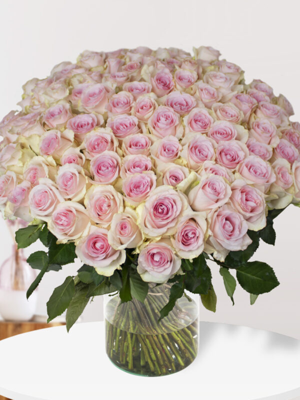 100 zachtroze rozen - Sweet Revival bezorgen