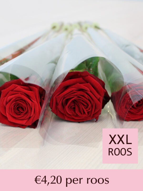 Rode rozen per stuk verpakt - Red Naomi - 10 t/m 99 stuks bezorgen