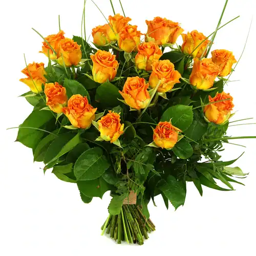 20 Oranje/zalm rozen 20 Oranje/zalm rozen