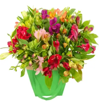 Alstroemerias mixed in gift tas
