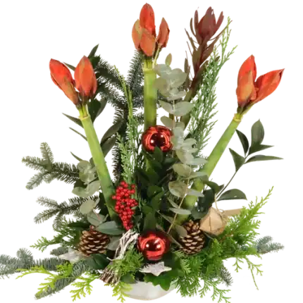 Amaryllis kerststuk ca. 60 cm hoog