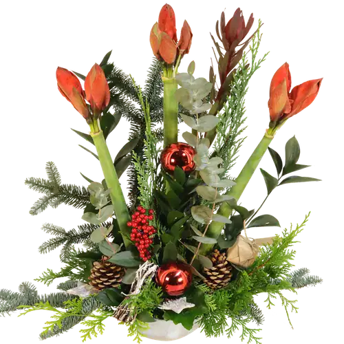 Amaryllis kerststuk ca. 60 cm hoog Amaryllis kerststuk ca. 60 cm hoog