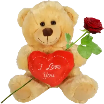 Bruine knuffelbeer 30cm met rood I love you hart