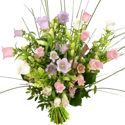 Campanula boeket (100 % NL)