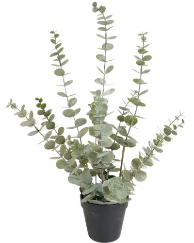 Eucalypthus kunstplant H 57cm x B 33cm