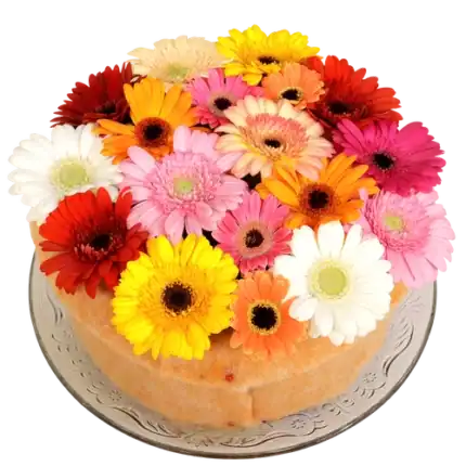 Gerbera bloementaart