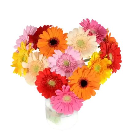 Hart boeket gerberas ca. 25 cm doorsnede