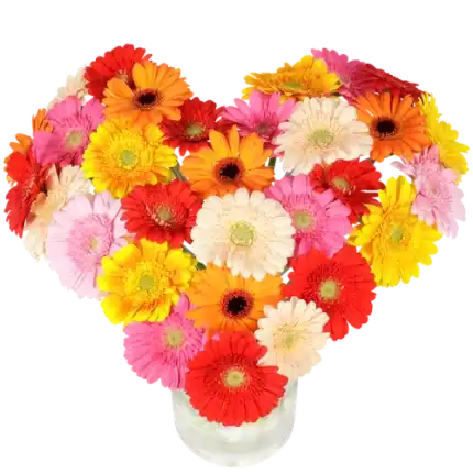 Hart boeket gerberas ca. 41 cm doorsnede