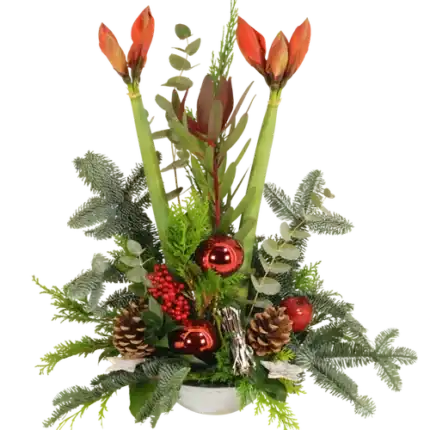 Kerststuk 2 Amaryllissen ca. 60 cm hoog