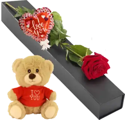 Luxe geschenkdoos met rode roos + knuffelbeertje