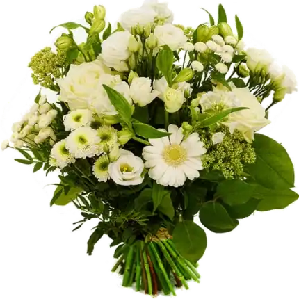 Tijdloos boeket Springerig wit