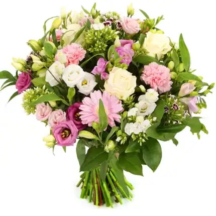 Witte en roze bloemen
