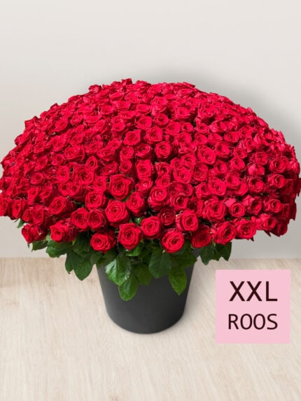 Boeket van 365 rode rozen - Red Naomi bezorgen