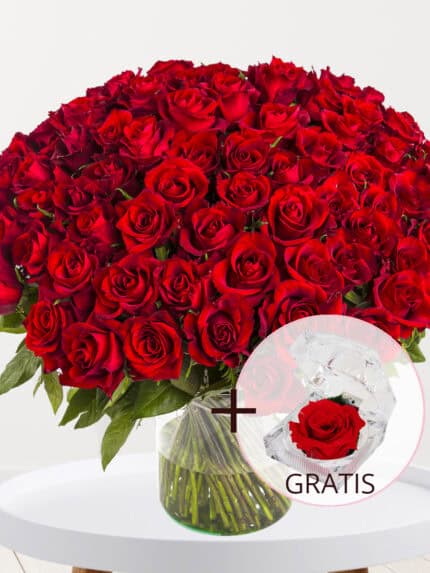 100 rode rozen - XL rozen - EverRed + Eeuwige roos voor Valentijnsdag bezorgen