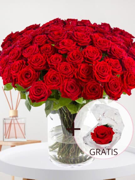 100 rode rozen - XL rozen - Red Naomi + Eeuwige roos voor Valentijnsdag bezorgen