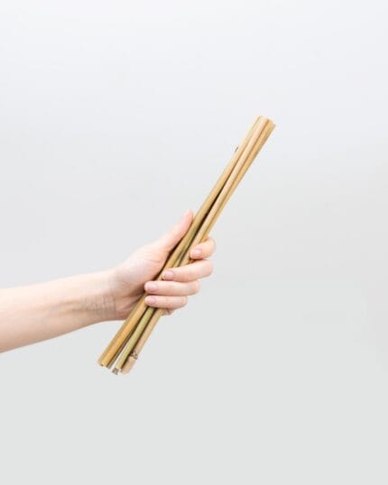 Bamboe stok 30 cm bezorgen via PLNTS