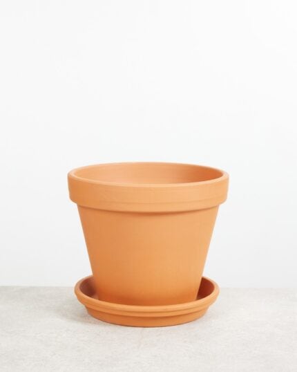 Oranje Terracotta Pot bezorgen via PLNTS