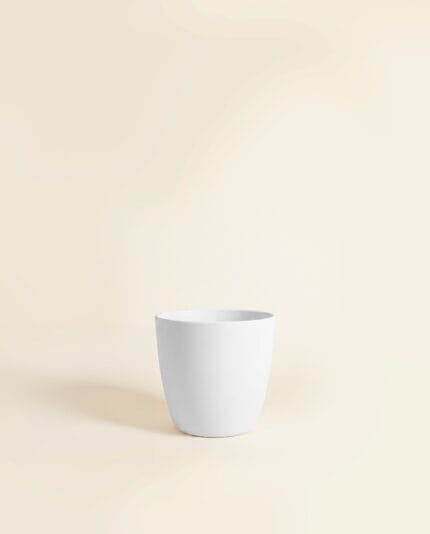 Elho Brussels® Pot bezorgen via PLNTS