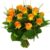 15 Oranje/zalm rozen