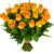 25 Oranje/zalm rozen