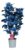 Dendrobium Nobilé -”Blauw”2-takken- geschilderd