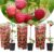Frambozenplant – Set van 3 – Frambozenstruik – Pot 9cm – Hoogte 25-40cm