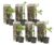 Parthenocissus’Wilde Wingerd’- Set van 6 – Pot 9cm – Hoogte 25-40cm