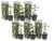 Passiflora Edulis – Mix van 6 – Klimplanten – Pot 9cm – Hoogte 25-40cm