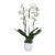 Phalaenopsis Tsarine – Nr15 2-takt Cascade Wit keramiek