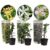 Trachelospernum jasminoïdes – Mix van 3 – Tuinplanten – Pot 9cm – Hoogte 25-40cm